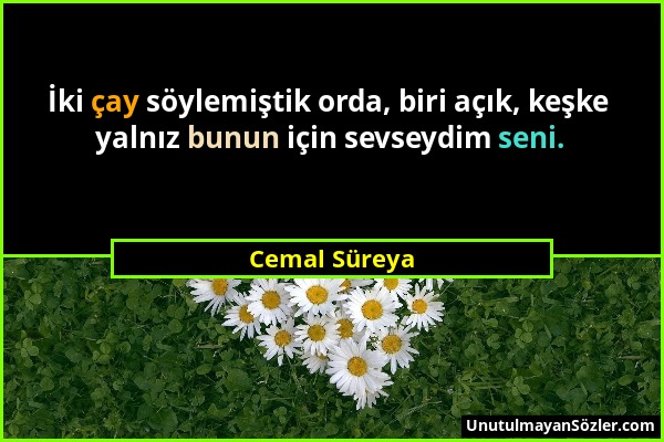 Cemal Süreya - İki çay söylemiştik orda, biri açık, keşke yalnız bunun için sevseydim seni....
