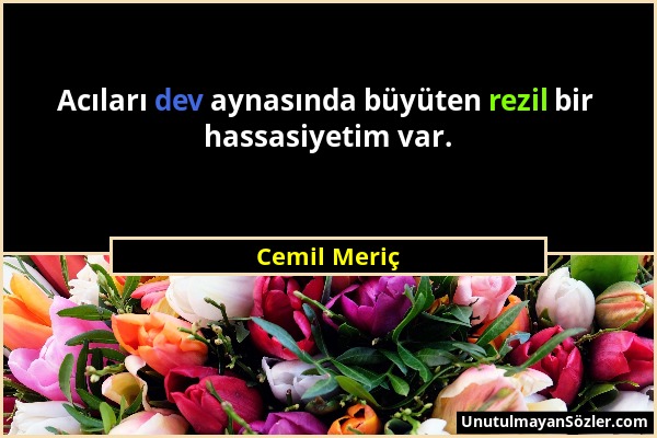 Cemil Meriç - Acıları dev aynasında büyüten rezil bir hassasiyetim var....