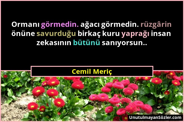 Cemil Meriç - Ormanı görmedin. ağacı görmedin. rüzgârin önüne savurduğu birkaç kuru yaprağı insan zekasının bütünü sanıyorsun.....