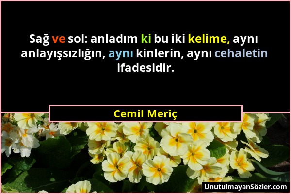 Cemil Meriç - Sağ ve sol: anladım ki bu iki kelime, aynı anlayışsızlığın, aynı kinlerin, aynı cehaletin ifadesidir....
