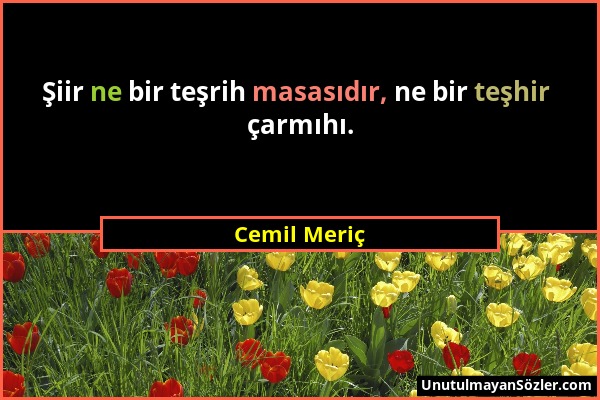 Cemil Meriç - Şiir ne bir teşrih masasıdır, ne bir teşhir çarmıhı....