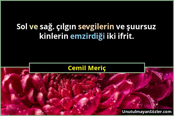 Cemil Meriç - Sol ve sağ. çılgın sevgilerin ve şuursuz kinlerin emzirdiği iki ifrit....