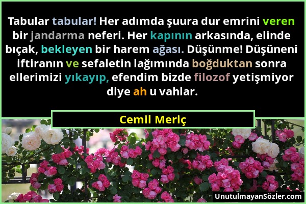 Cemil Meriç - Tabular tabular! Her adımda şuura dur emrini veren bir jandarma neferi. Her kapının arkasında, elinde bıçak, bekleyen bir harem ağası. D...