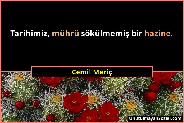 Cemil Meriç - Tarihimiz, mührü sökülmemiş bir hazine....