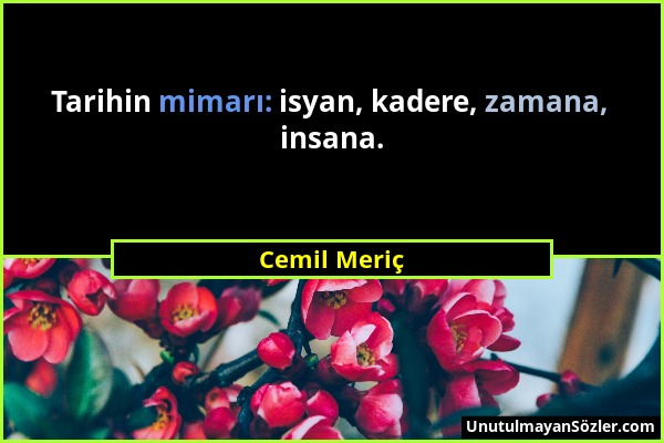 Cemil Meriç - Tarihin mimarı: isyan, kadere, zamana, insana....