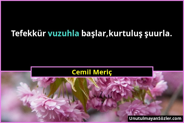 Cemil Meriç - Tefekkür vuzuhla başlar,kurtuluş şuurla....