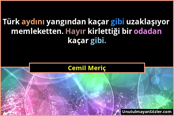 Cemil Meriç - Türk aydını yangından kaçar gibi uzaklaşıyor memleketten. Hayır kirlettiği bir odadan kaçar gibi....