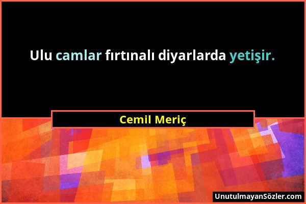 Cemil Meriç - Ulu camlar fırtınalı diyarlarda yetişir....