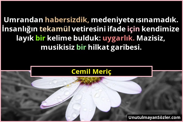 Cemil Meriç - Umrandan habersizdik, medeniyete ısınamadık. İnsanlığın tekamül vetiresini ifade için kendimize layık bir kelime bulduk: uygarlık. Mazis...