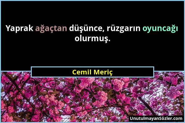 Cemil Meriç - Yaprak ağaçtan düşünce, rüzgarın oyuncağı olurmuş....