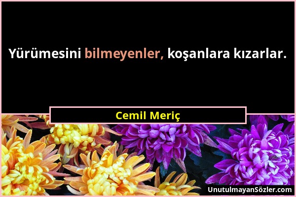 Cemil Meriç - Yürümesini bilmeyenler, koşanlara kızarlar....