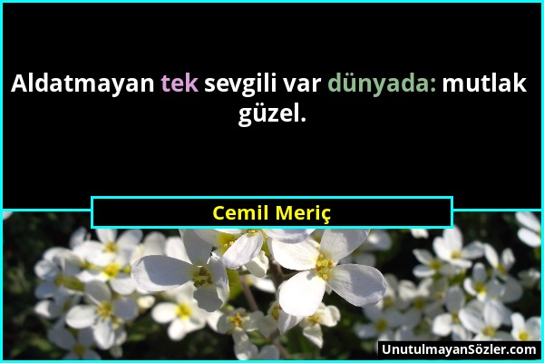 Cemil Meriç - Aldatmayan tek sevgili var dünyada: mutlak güzel....