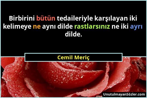 Cemil Meriç - Birbirini bütün tedaileriyle karşılayan iki kelimeye ne aynı dilde rastlarsınız ne iki ayrı dilde....