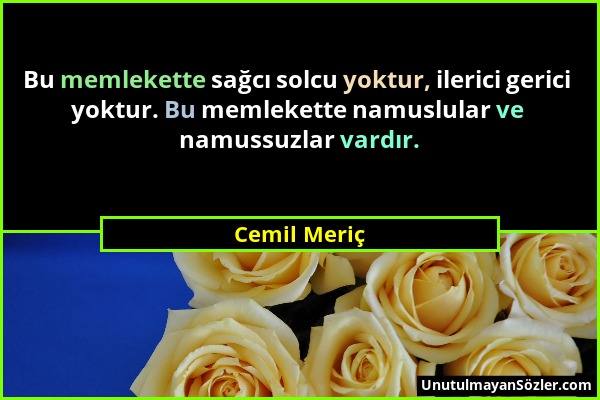 Cemil Meriç - Bu memlekette sağcı solcu yoktur, ilerici gerici yoktur. Bu memlekette namuslular ve namussuzlar vardır....