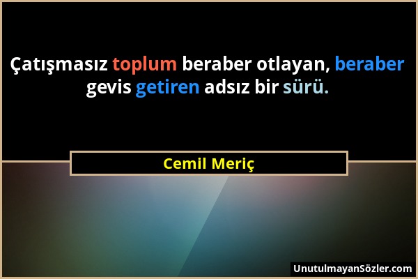 Cemil Meriç - Çatışmasız toplum beraber otlayan, beraber gevis getiren adsız bir sürü....