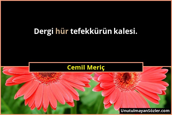 Cemil Meriç - Dergi hür tefekkürün kalesi....