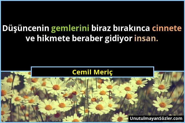 Cemil Meriç - Düşüncenin gemlerini biraz bırakınca cinnete ve hikmete beraber gidiyor insan....