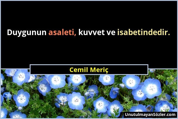 Cemil Meriç - Duygunun asaleti, kuvvet ve isabetindedir....