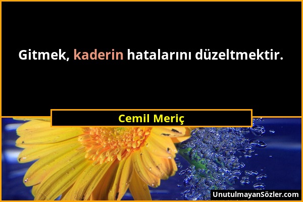 Cemil Meriç - Gitmek, kaderin hatalarını düzeltmektir....