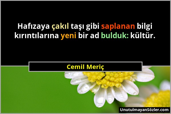 Cemil Meriç - Hafızaya çakıl taşı gibi saplanan bilgi kırıntılarına yeni bir ad bulduk: kültür....