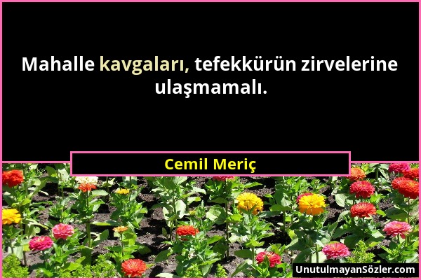 Cemil Meriç - Mahalle kavgaları, tefekkürün zirvelerine ulaşmamalı....
