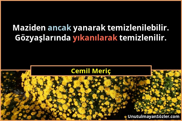 Cemil Meriç - Maziden ancak yanarak temizlenilebilir. Gözyaşlarında yıkanılarak temizlenilir....
