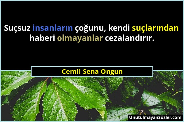 Cemil Sena Ongun - Suçsuz insanların çoğunu, kendi suçlarından haberi olmayanlar cezalandırır....