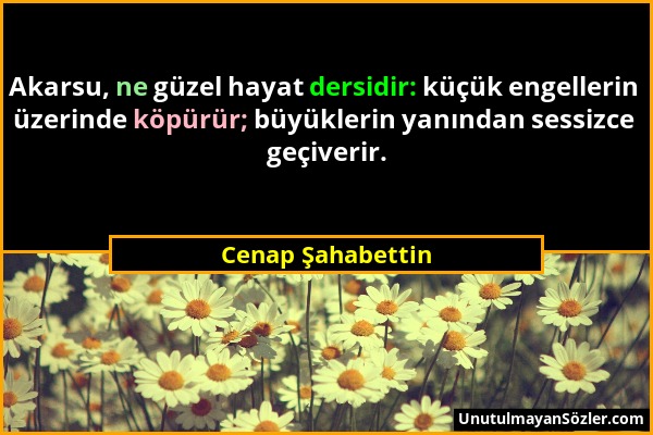 Cenap Şahabettin - Akarsu, ne güzel hayat dersidir: küçük engellerin üzerinde köpürür; büyüklerin yanından sessizce geçiverir....