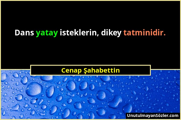 Cenap Şahabettin - Dans yatay isteklerin, dikey tatminidir....