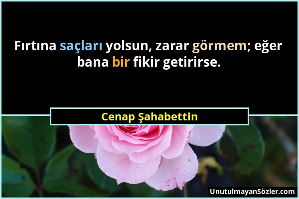 Cenap Şahabettin - Fırtına saçları yolsun, zarar görmem; eğer bana bir fikir getirirse....