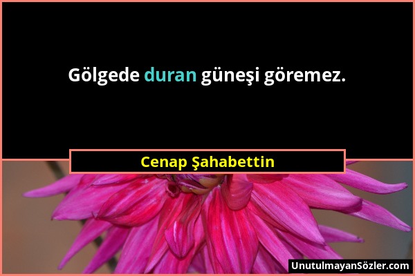 Cenap Şahabettin - Gölgede duran güneşi göremez....