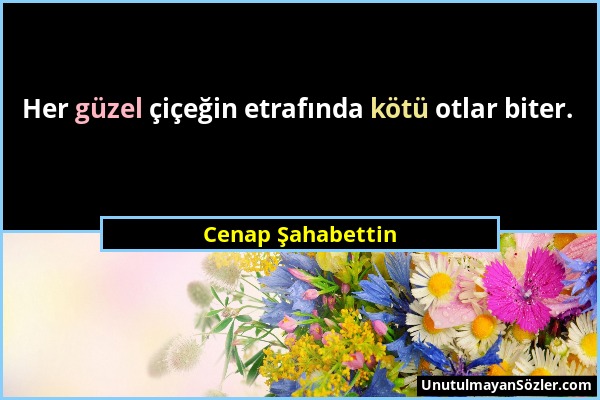 Cenap Şahabettin - Her güzel çiçeğin etrafında kötü otlar biter....
