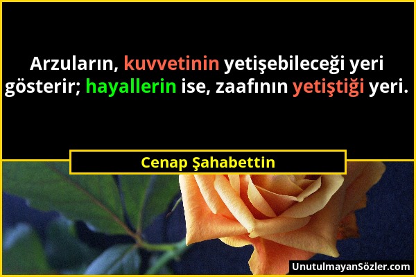 Cenap Şahabettin - Arzuların, kuvvetinin yetişebileceği yeri gösterir; hayallerin ise, zaafının yetiştiği yeri....