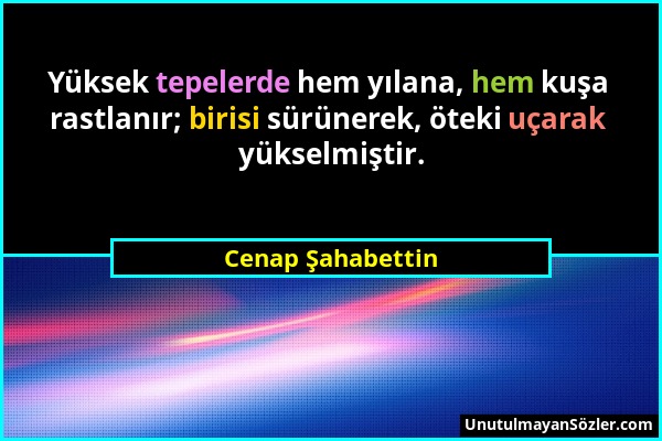 Cenap Şahabettin - Yüksek tepelerde hem yılana, hem kuşa rastlanır; birisi sürünerek, öteki uçarak yükselmiştir....