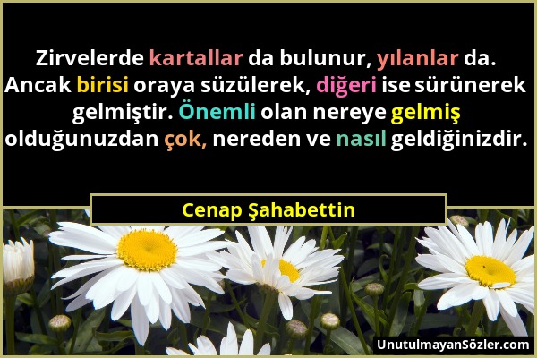 Cenap Şahabettin - Zirvelerde kartallar da bulunur, yılanlar da. Ancak birisi oraya süzülerek, diğeri ise sürünerek gelmiştir. Önemli olan nereye gelm...