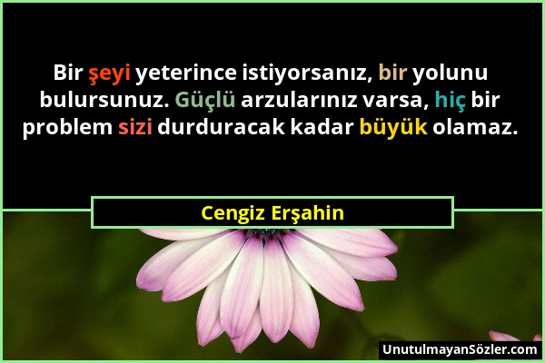 Cengiz Erşahin - Bir şeyi yeterince istiyorsanız, bir yolunu bulursunuz. Güçlü arzularınız varsa, hiç bir problem sizi durduracak kadar büyük olamaz....