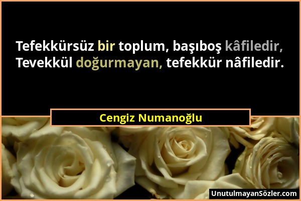 Cengiz Numanoğlu - Tefekkürsüz bir toplum, başıboş kâfiledir, Tevekkül doğurmayan, tefekkür nâfiledir....