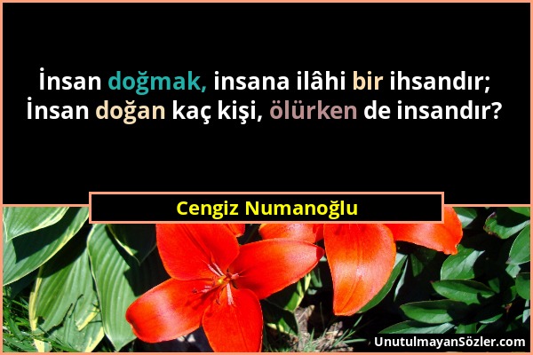 Cengiz Numanoğlu - İnsan doğmak, insana ilâhi bir ihsandır; İnsan doğan kaç kişi, ölürken de insandır?...