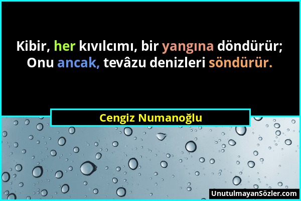 Cengiz Numanoğlu - Kibir, her kıvılcımı, bir yangına döndürür; Onu ancak, tevâzu denizleri söndürür....