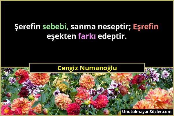 Cengiz Numanoğlu - Şerefin sebebi, sanma neseptir; Eşrefin eşekten farkı edeptir....