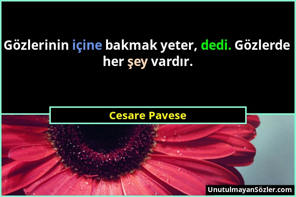 Cesare Pavese - Gözlerinin içine bakmak yeter, dedi. Gözlerde her şey vardır....