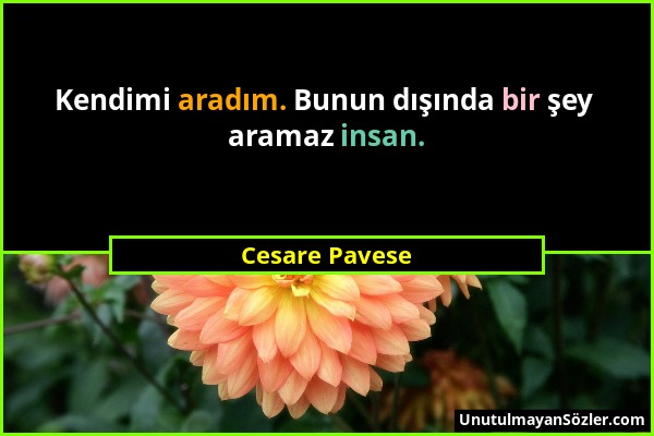 Cesare Pavese - Kendimi aradım. Bunun dışında bir şey aramaz insan....