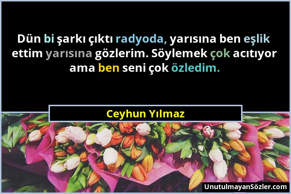 Ceyhun Yılmaz - Dün bi şarkı çıktı radyoda, yarısına ben eşlik ettim yarısına gözlerim. Söylemek çok acıtıyor ama ben seni çok özledim....