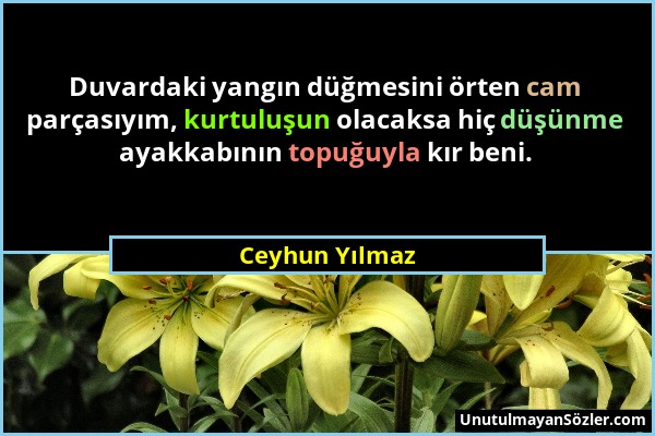 Ceyhun Yılmaz - Duvardaki yangın düğmesini örten cam parçasıyım, kurtuluşun olacaksa hiç düşünme ayakkabının topuğuyla kır beni....