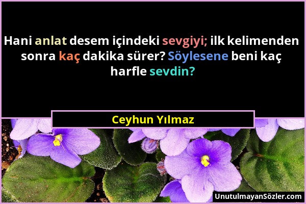 Ceyhun Yılmaz - Hani anlat desem içindeki sevgiyi; ilk kelimenden sonra kaç dakika sürer? Söylesene beni kaç harfle sevdin?...