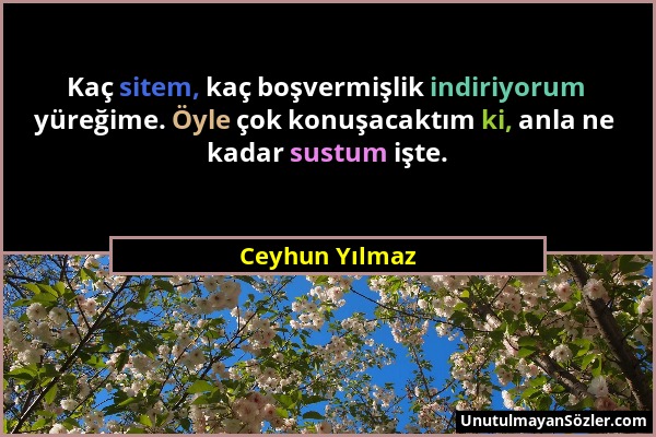 Ceyhun Yılmaz - Kaç sitem, kaç boşvermişlik indiriyorum yüreğime. Öyle çok konuşacaktım ki, anla ne kadar sustum işte....