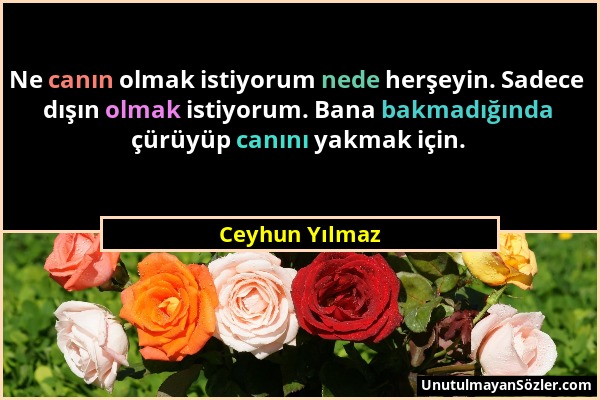 Ceyhun Yılmaz - Ne canın olmak istiyorum nede herşeyin. Sadece dışın olmak istiyorum. Bana bakmadığında çürüyüp canını yakmak için....