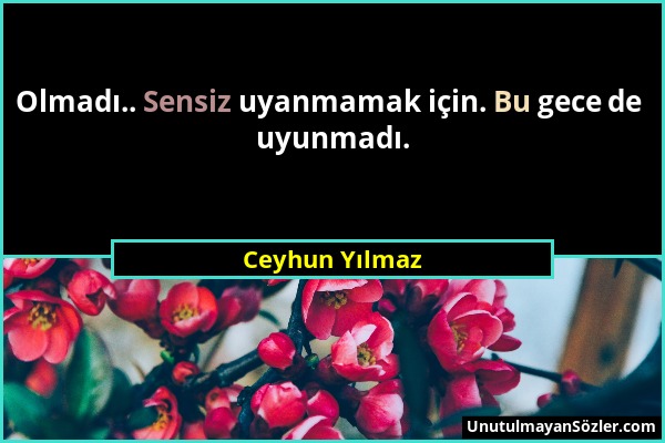 Ceyhun Yılmaz - Olmadı.. Sensiz uyanmamak için. Bu gece de uyunmadı....