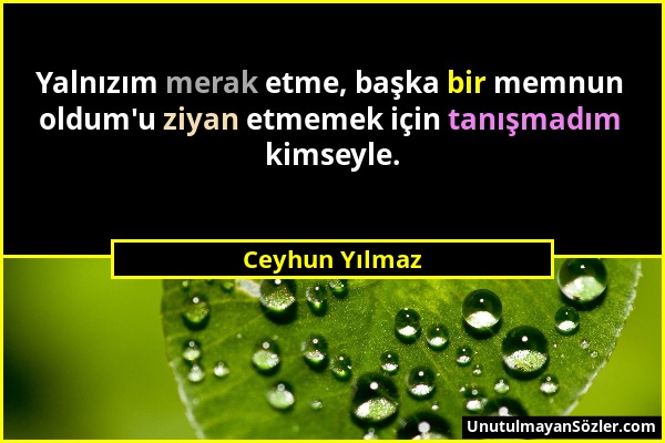 Ceyhun Yılmaz - Yalnızım merak etme, başka bir memnun oldum'u ziyan etmemek için tanışmadım kimseyle....