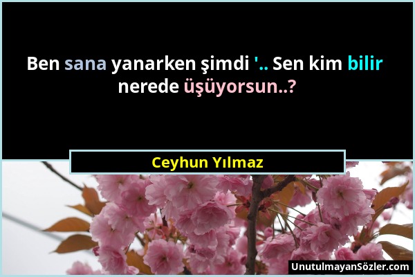 Ceyhun Yılmaz - Ben sana yanarken şimdi '.. Sen kim bilir nerede üşüyorsun..?...